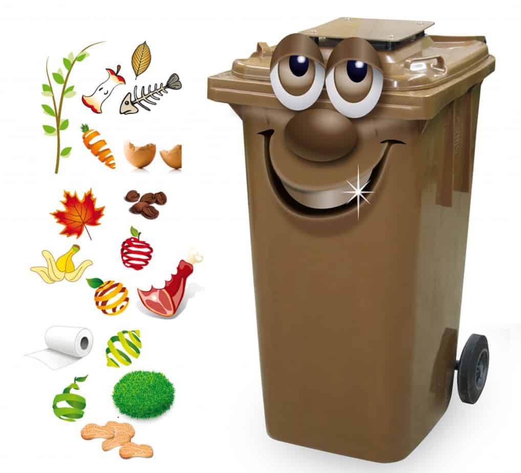 Bacs bruns à East Angus