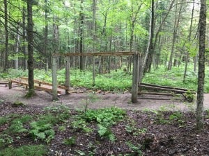 IMG_0653