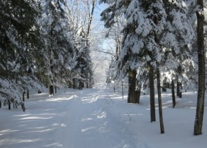 Parc