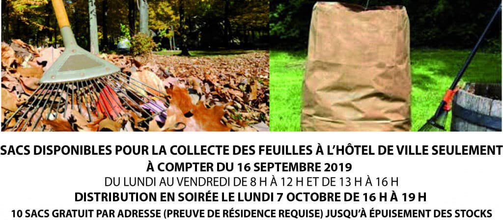Sacs-de-feuilles-1024x448