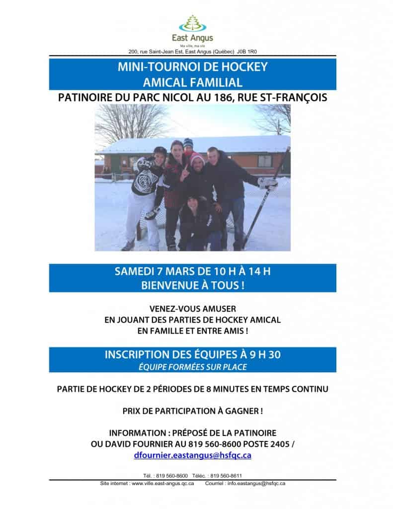 Tournoi de hockey balle familial - 2015-03-07
