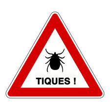 Triangle tiques