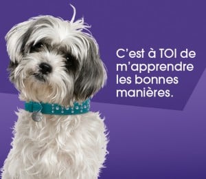 Visuel Bon gardien_bonnes manières