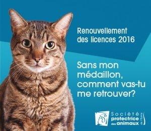 Visuel Renouv. 2016_FR