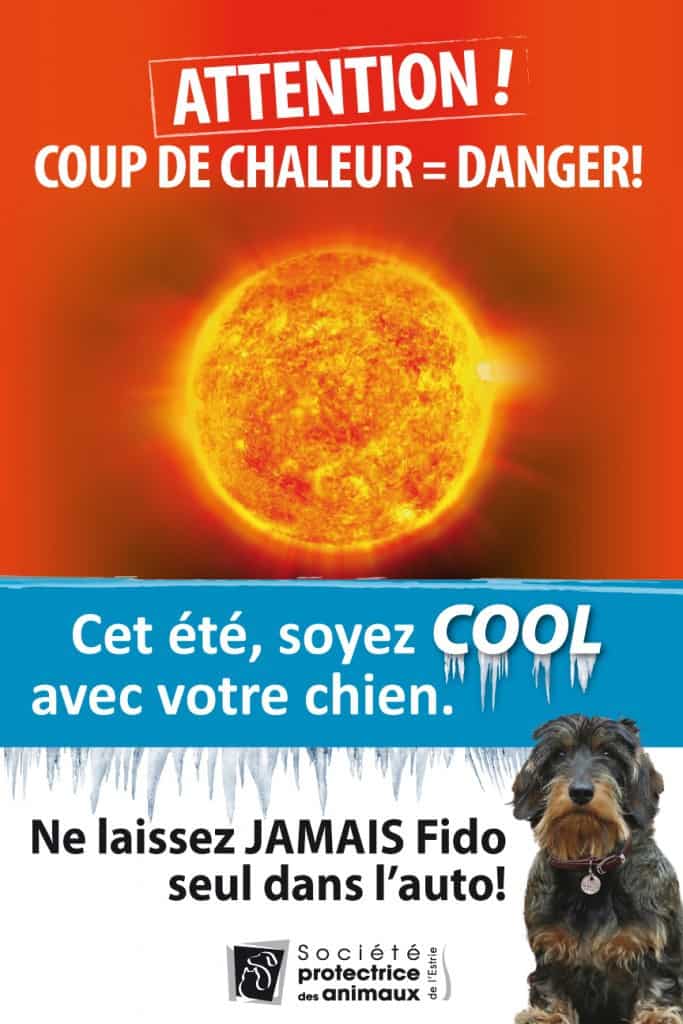 _SPA_Affiche_Coup_chaleur