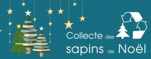collecte-sapins-recyclage-bandeau