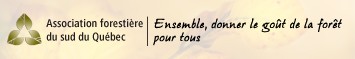 ensemble-foret-tous