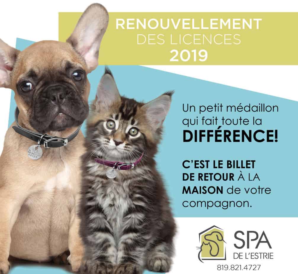 visuel 2019_licences