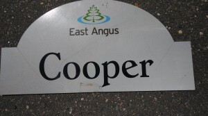 59152981_2661454297259089_8595480966737166336_n (1) (1)