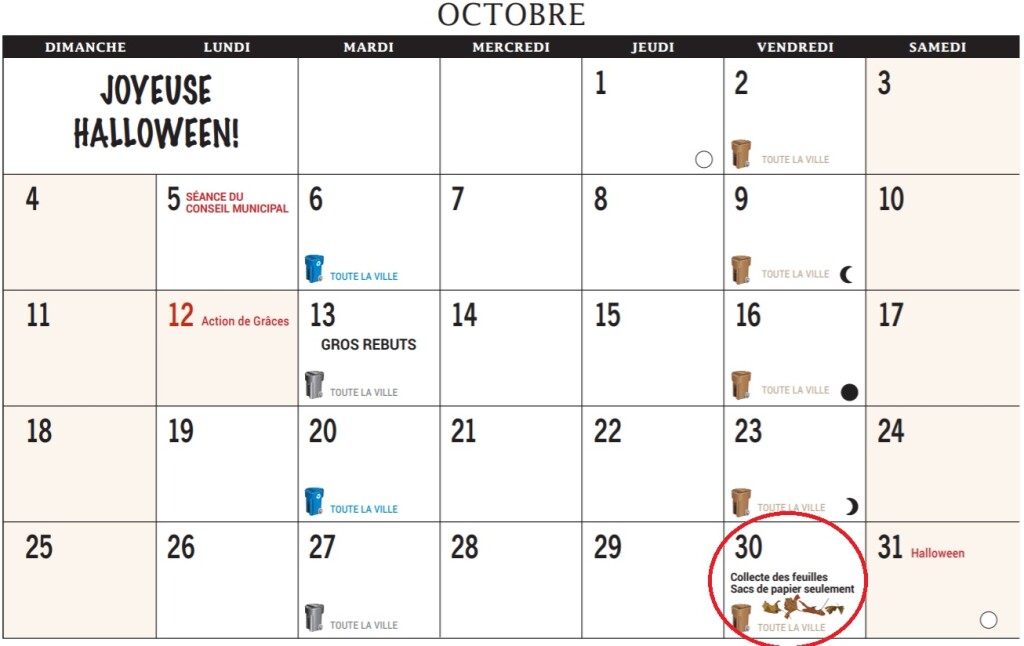 Collecte des feuilles