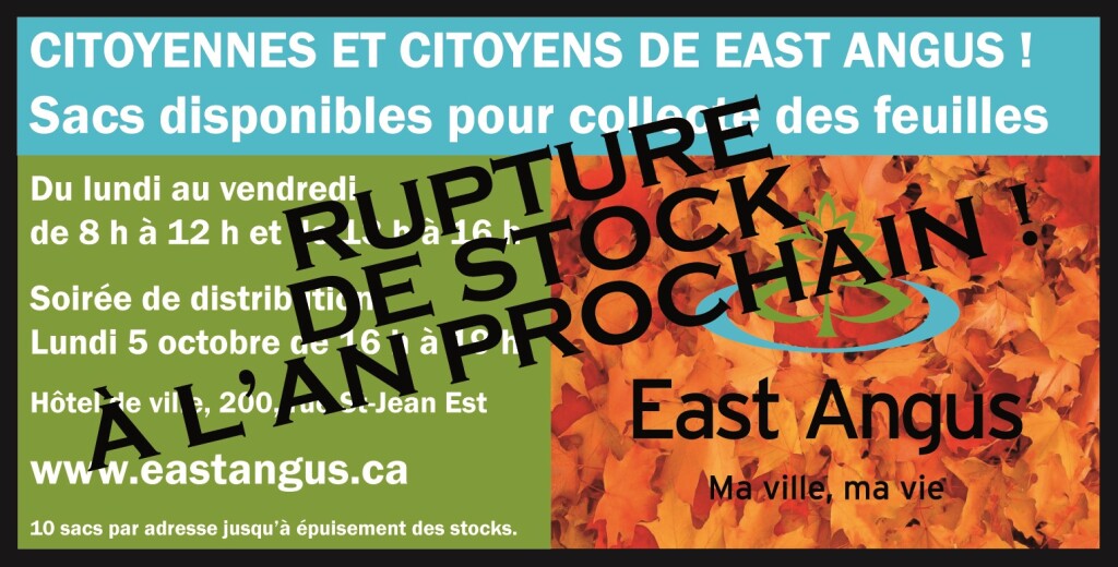 Rupture de stock - -Collecte-de-feuilles-mortes